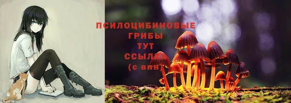 трава Абдулино