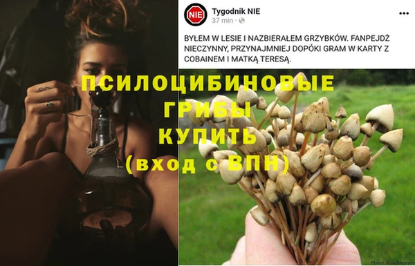 винт Абинск