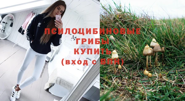 винт Абинск